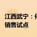 江西武宁：停止新建安置房，探索商品房现房销售试点