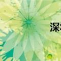 深圳旅游市场热浪持续