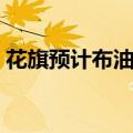 花旗预计布油2025年将跌向每桶60美元区间