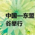 中国—东盟自贸区3.0版第九轮谈判在泰国曼谷举行
