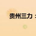 贵州三力：控股股东提前终止减持计划