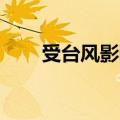 受台风影响 港交所6日全天暂停交易