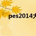 pes2014大师联赛必买球员（ps2014）