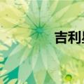 吉利星座03组卫星发射成功