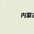 内蒙古赤峰市发现1亿吨钼矿