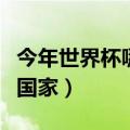 今年世界杯哪个国家举办（今年世界杯在哪个国家）