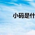 小码是什么码数（小码是什么字母）