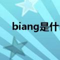 biang是什么意思啊（ng是什么意思啊）