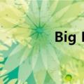 Big Lots美股盘后跌超25%