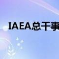 IAEA总干事强调核设施不应成为打击目标