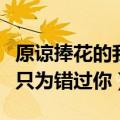 原谅捧花的我盛装出席只为错过你（盛装出席只为错过你）