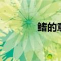鳍的意思和拼音（鳍的意思）