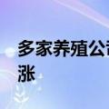 多家养殖公司8月销售回暖，生猪均价同比上涨