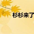 杉杉来了分集（杉杉来了共多少集）