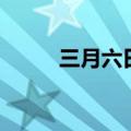三月六日打三个数字（三月六日）
