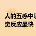 人的五感中哪个感官最快（人的五感中哪个感觉反应最快）