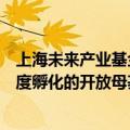 上海未来产业基金筹备负责人魏凡杰：希望搭建未来产业深度孵化的开放母基金平台