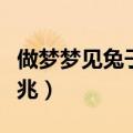 做梦梦见兔子是什么预兆（梦见兔子是什么预兆）