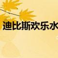 迪比斯欢乐水世界老板（迪比斯欢乐水世界）