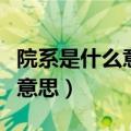 院系是什么意思是学院还是专业（院系是什么意思）
