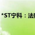 *ST宁科：法院受理子公司重整并指定管理人