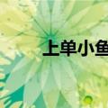 上单小鱼人出装s10（上单小鱼人）