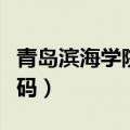 青岛滨海学院代码和专科号（青岛滨海学院代码）