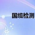 国缆检测：选举黄国飞为新任董事长