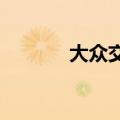 大众交通早盘上演天地板行情