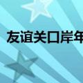 友谊关口岸年内出入境车辆已突破50万辆次