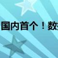 国内首个！数据传输的“专用高速通道”来了