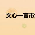 文心一言市场负责人否认放弃通用大模型