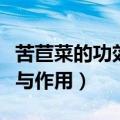苦苣菜的功效与作用及禁忌症（苦苣菜的功效与作用）