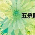 五杀叫啥来着（五杀怎么说）