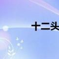 十二头身的人多吗（十二头身）