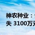 神农种业：台风“摩羯”致2000万元直接损失 3100万元间接损失
