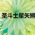 圣斗士星矢狮子座绝招（圣斗士星矢狮子座）