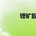 锂矿股拉升走高 金圆股份涨停