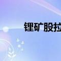 锂矿股拉升走强 赣锋锂业午后涨停