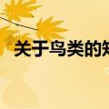 关于鸟类的知识有哪些（鸟类知识的资料）