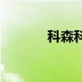 科森科技：公司处于亏损状态