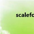scaleform是什么（scaleform）