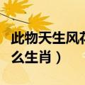 此物天生风花雪月是什么生肖（风花雪月是什么生肖）