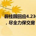 碧桂园回应4.23亿以资抵债事件：公司正努力盘活各类资产，尽全力保交房