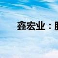 鑫宏业：股东拟减持不超过3%的股份