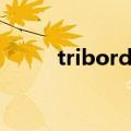 tribord冲锋衣怎么样（tribord）
