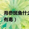 海参斑鱼什么部位有毒性（海参斑鱼什么部位有毒）