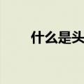 什么是头寸拆解市场（什么是头寸）