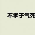 不孝子气死妈妈的句子（不孝子气死妈）