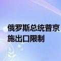 俄罗斯总统普京：也许我们应该考虑对某些商品，如铀，实施出口限制